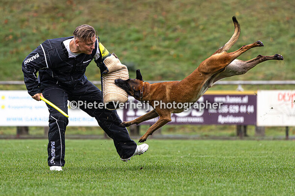 Freddy Hauck with Alfonso vom Ziegeleipark