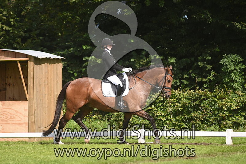 Verenigingskampioenschap Dressuur Ring 10