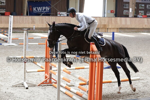 Lady Lottie B (For Pleasure x Gracelottie B v. Nabab de reve) met Ton Schellekens