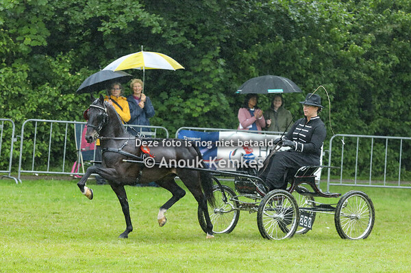 Hackney Nieuwelingen 