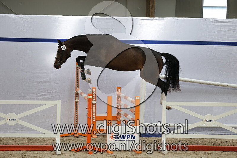 Sizora JB v. Newmarket VM