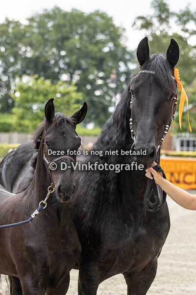 06. Drys fan de Groote Weele