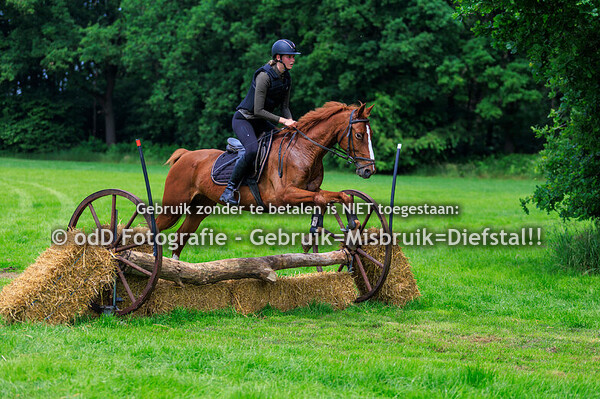 St Tunnis Hippisch Event Groep 6 12.00 31-05-25