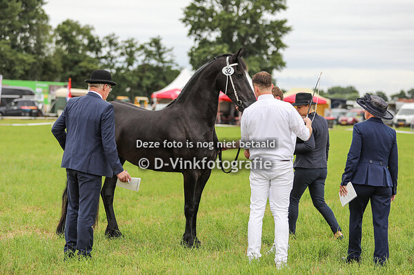 Rubriek 6 A Premiekeuring 3 jarigen