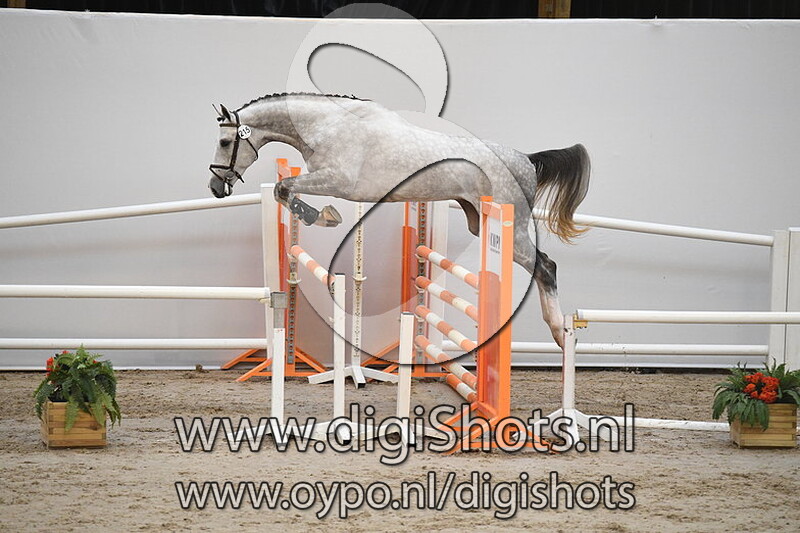 Maestro Blue F v. Zirocco Blue VDL