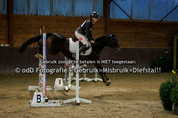 Indoor SGW Springen Pony's L en M 29-12-23