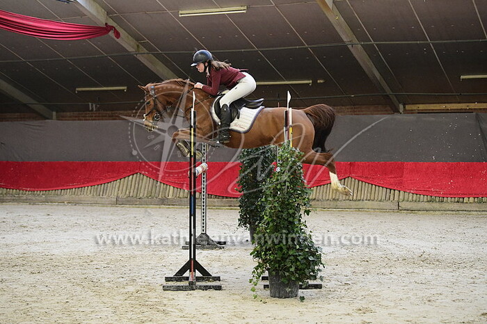 Hanna Heetkamp - Coco