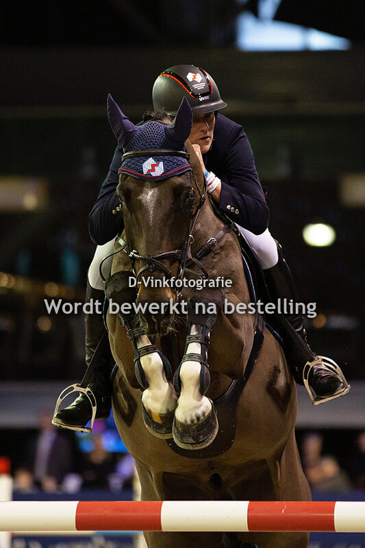 Piet Raijmakers JR - Van Schijndel´s Dominus