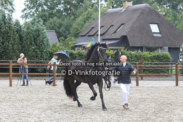 73. Sinne fan de Pellendijk