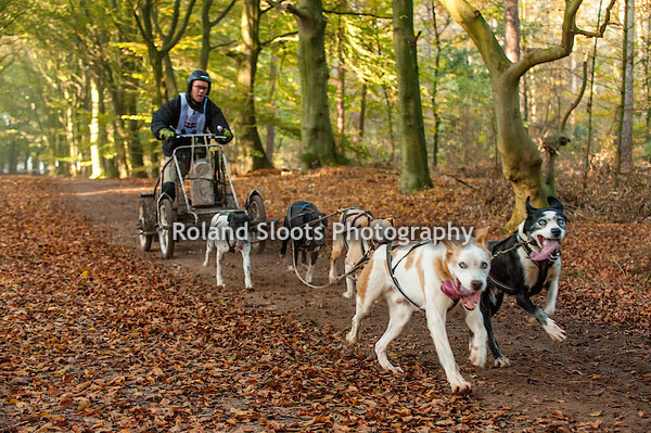 03_Trail foto's zondag - ochtend