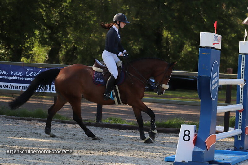 Hippisch Festijn PSV Polarfürst 25-05-2019 Z/ZZ 2