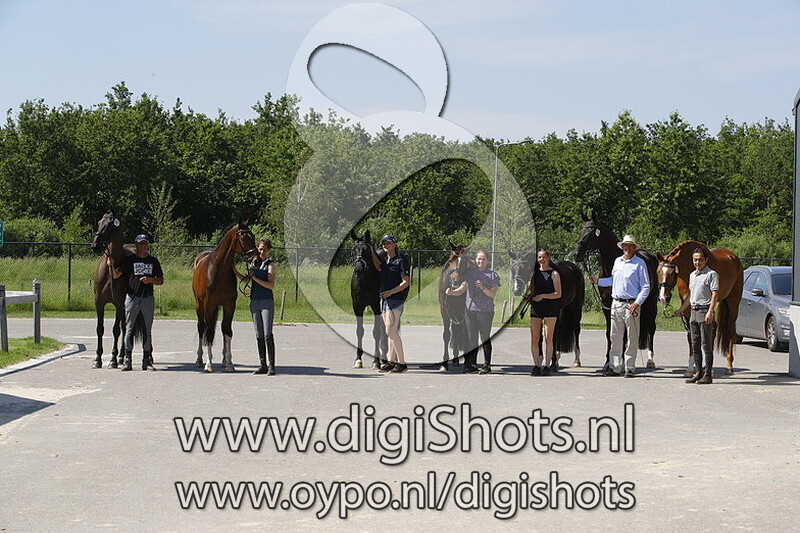 Team Piet Raijmakers