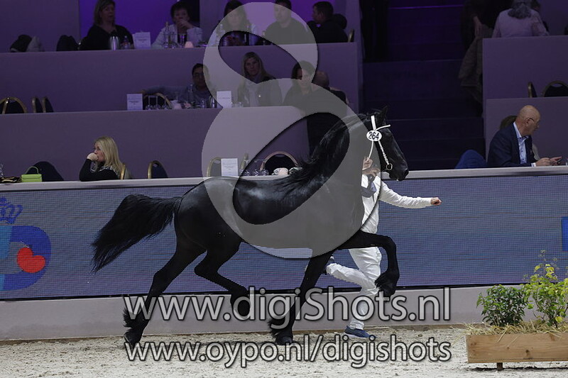 Rense ut de Westereen 264 v. Auwert 514