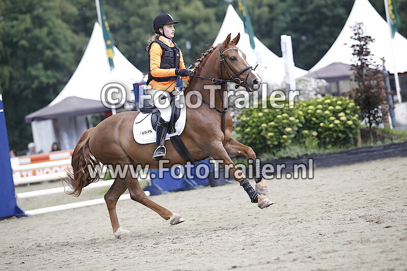 Frances van der Linden