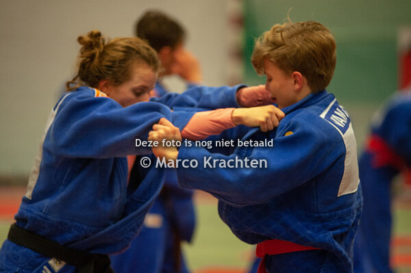 BUSHi stage/ Kamp middag/avond -15 -18