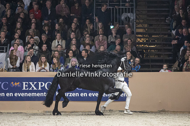 Hengstenkeuring 2023 Ulbran 502