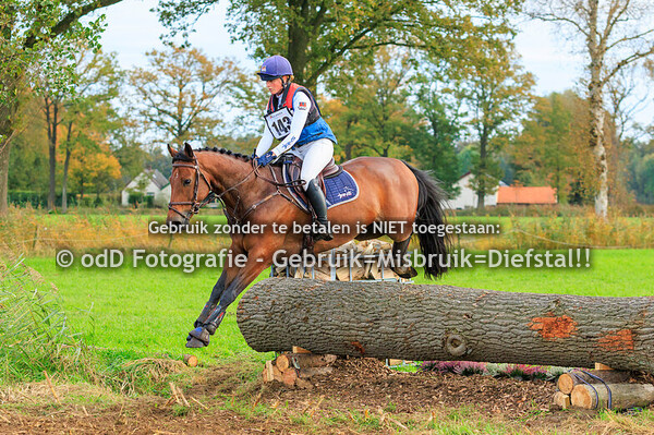 Eventing Diepenheim Paarden L 20-10-24
