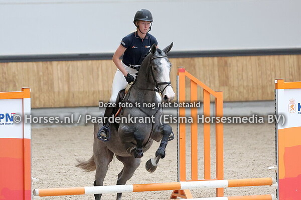 9 Reina LCH (Harley VDL x Cassini I)