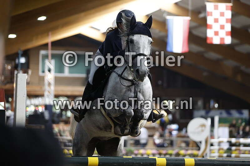 michelle cartenstadt