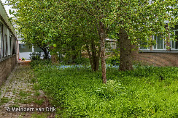 MCL - Mien Ruys-tuin 4