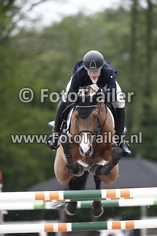 Dennis van den Brink