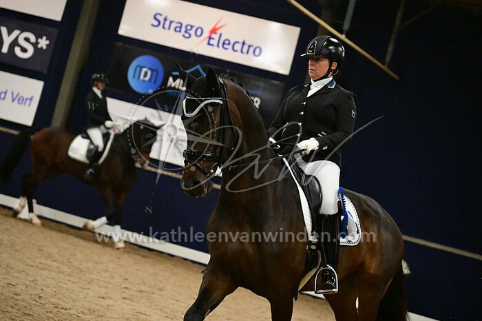 Marian van Bommel - Nettori