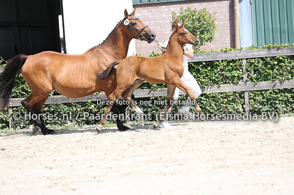 75 Vulcan Highway S van boer net Lust (Highway x C.Ulisina R)