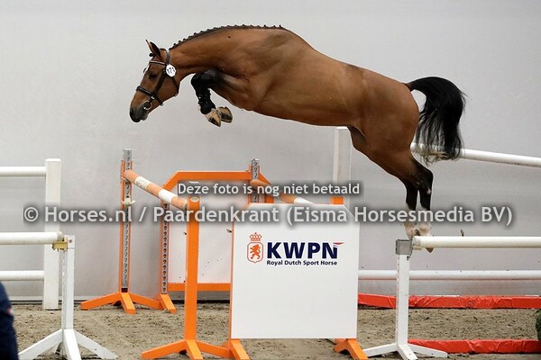 03-12-2020  1e bez KWPN springen