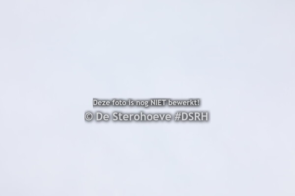 1.Merries 6j en ouder springen