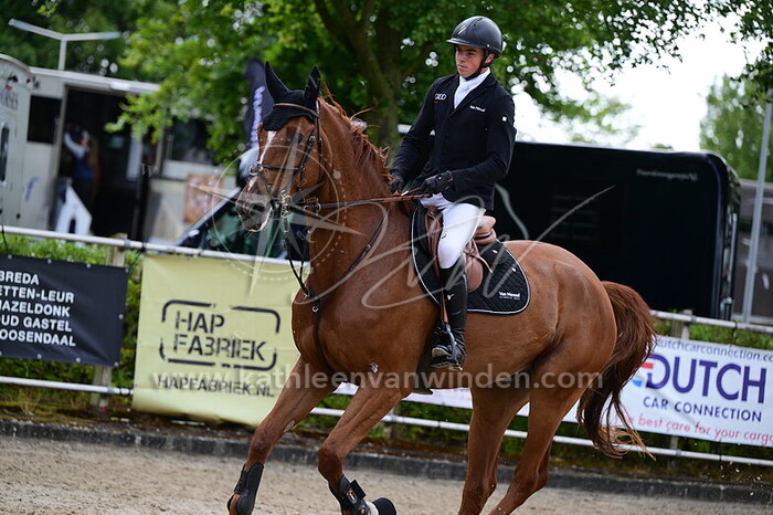 Tibo Hendrickx - No Limit