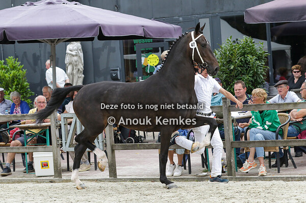 047 - ROSA CIZANDRO X ATLEET A. AUSMA, NUIS