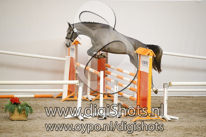 097 Liever P v. Emir R