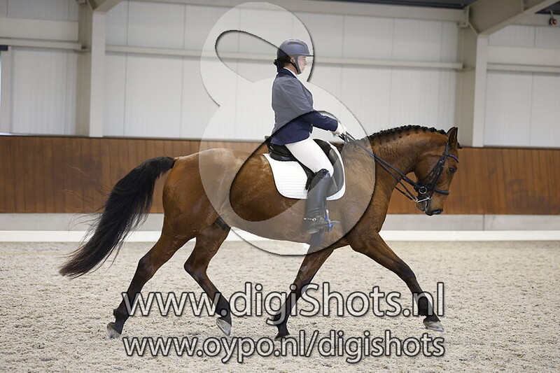 Loewie van de Sparrenhof