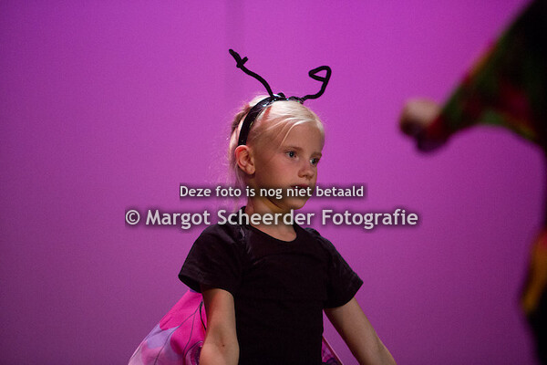 15. Rupsen en verandering