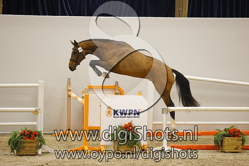 Non Stop v. Justice HL