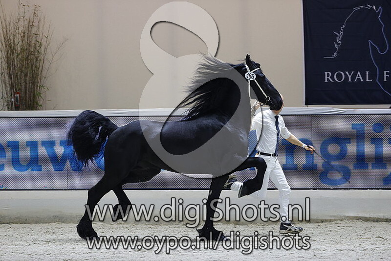 Foeke fan 't Krudlan