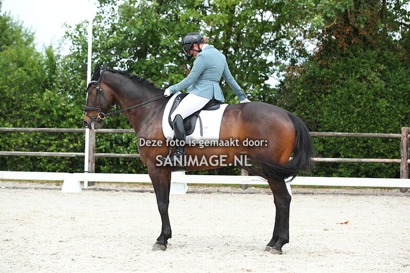 Jumping Tolboom 27-05-2025 Dressuur Ring 2 12.30-13.30 uur