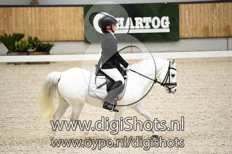 Meedenblik Shining Stars Paco