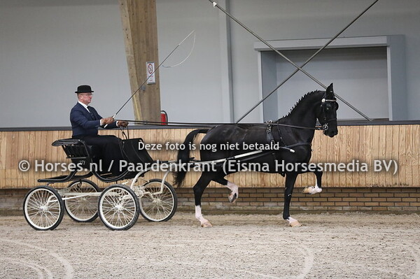 Lenteroos van 't Hooge