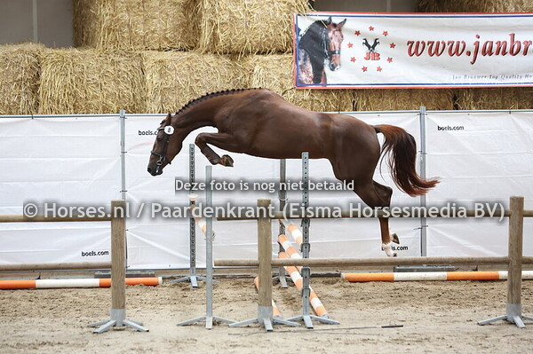 8 So Special (Etoulon x Iwyan v. Baltic)