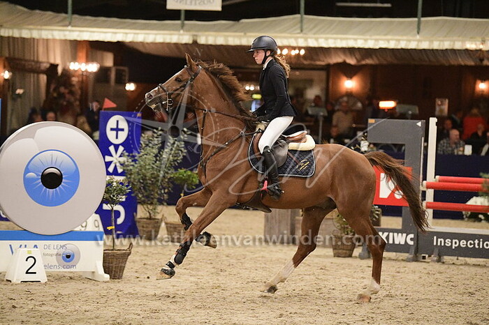 Nikita Cheung - Maestro Gusto van de Laarse Heide