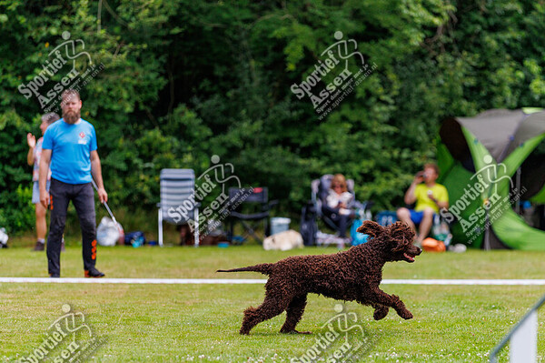 KC Assen Agility 13 juli 2025