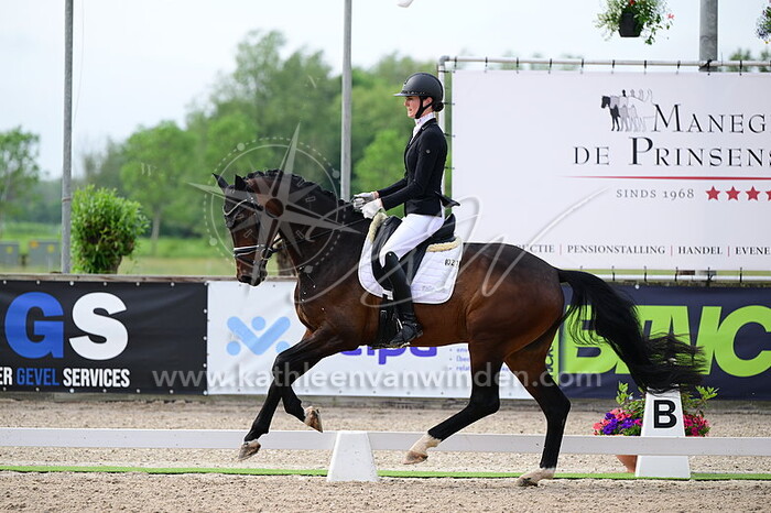 Thalia Rockx - Picture Perfect de la Fazenda