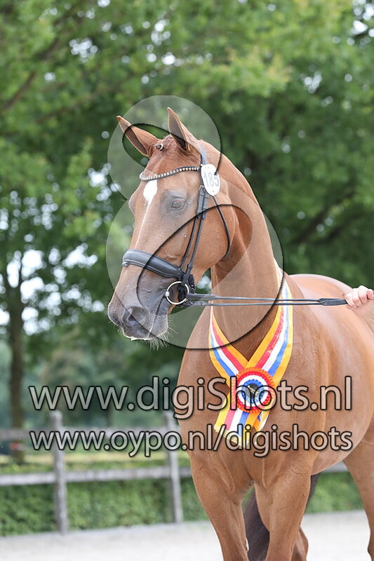 185 Nina Amanda v. Alexandro P