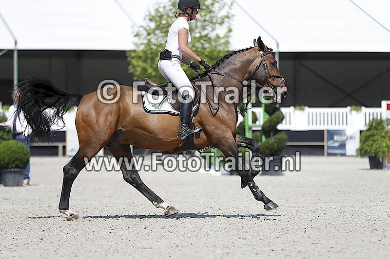 Mischa everse van de Kraats