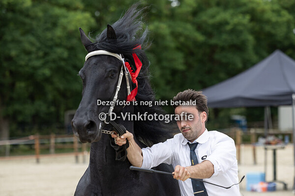 33. Rikst fan de Greidplaets