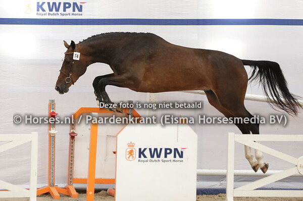 74 Passion (la Costa x Sanberra v. Kannan)