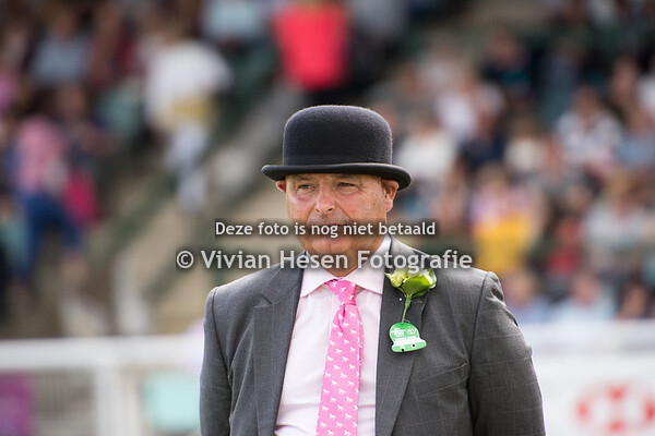 Senior Stallions Section D