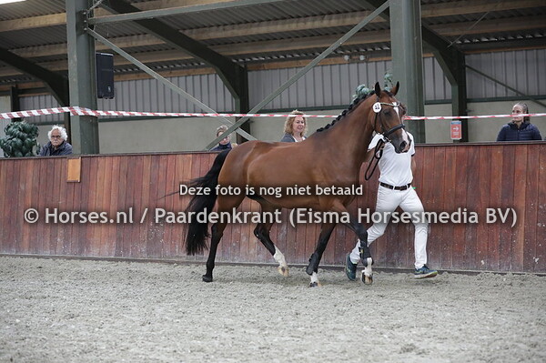 42 Fabiola (Florencio x Silvana v. Metall)