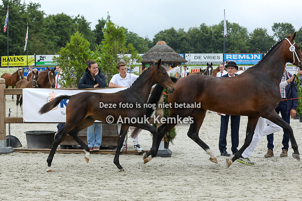 27 - Vantij ( Neon GSM x Idol )